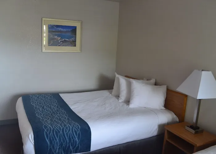 Absaroka Lodge